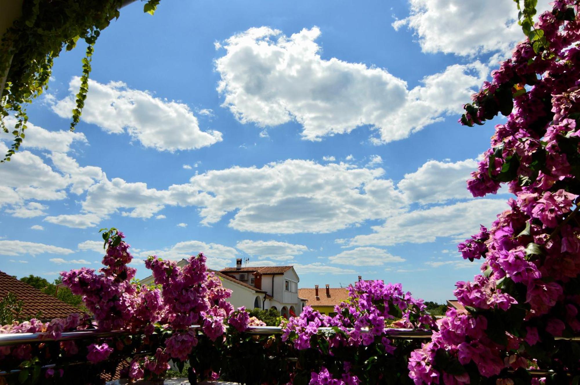 Gargamelo Pension Porec Exterior photo